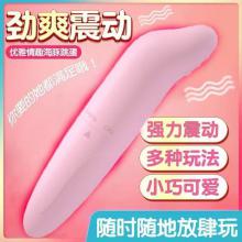 海豚棒 震动棒（电池款）